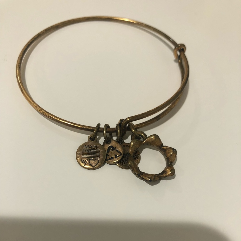 Alex and Ani bracelet